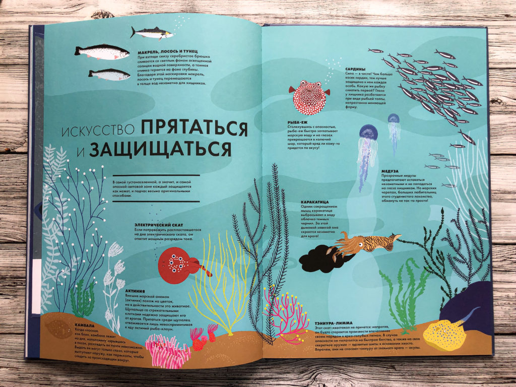 Нереально красивая книга Океан для захватывающих уроков естествознания 14