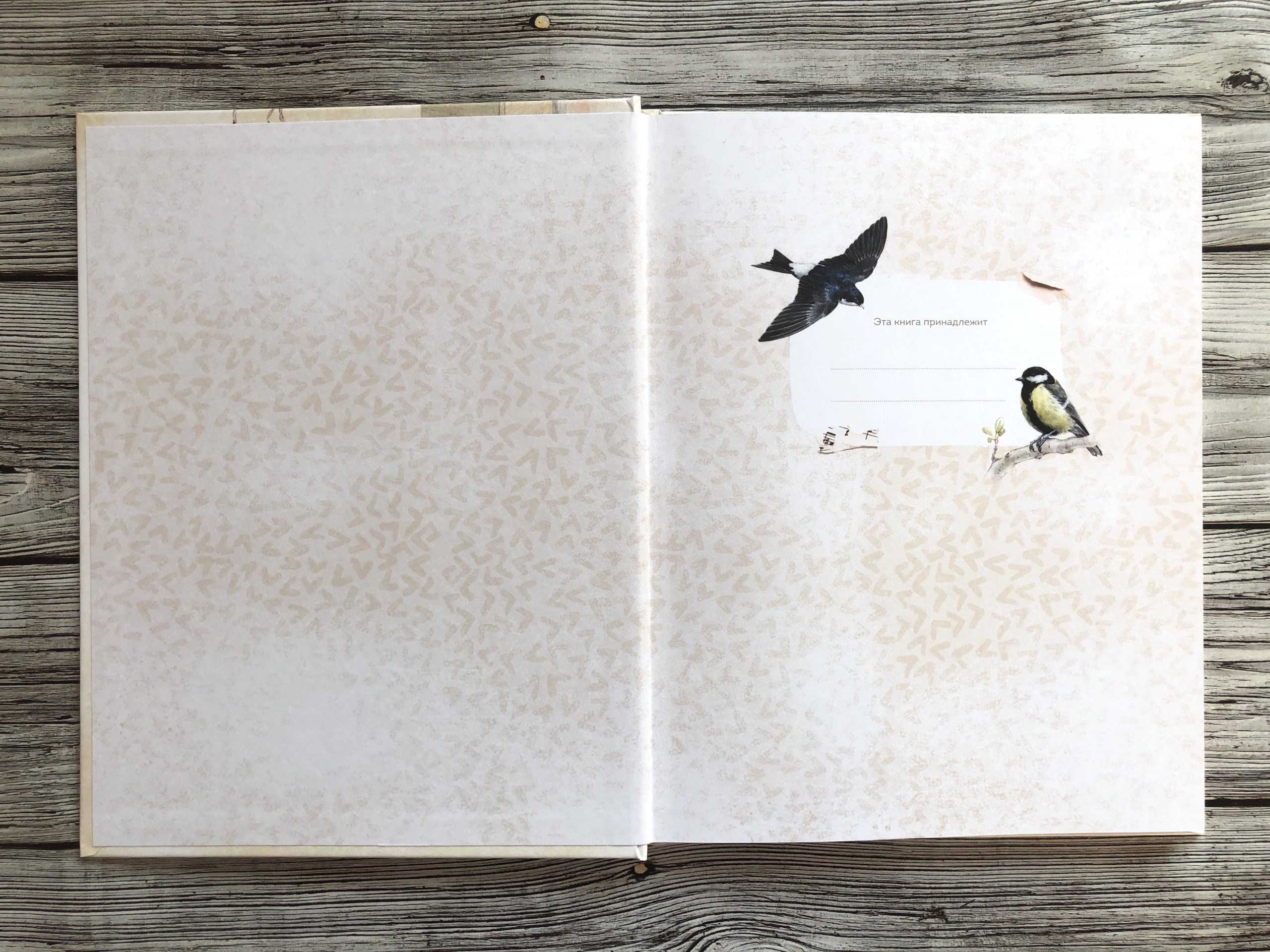 Очень красивая и полезная книга о птицах для детей - Птицы в городе 2