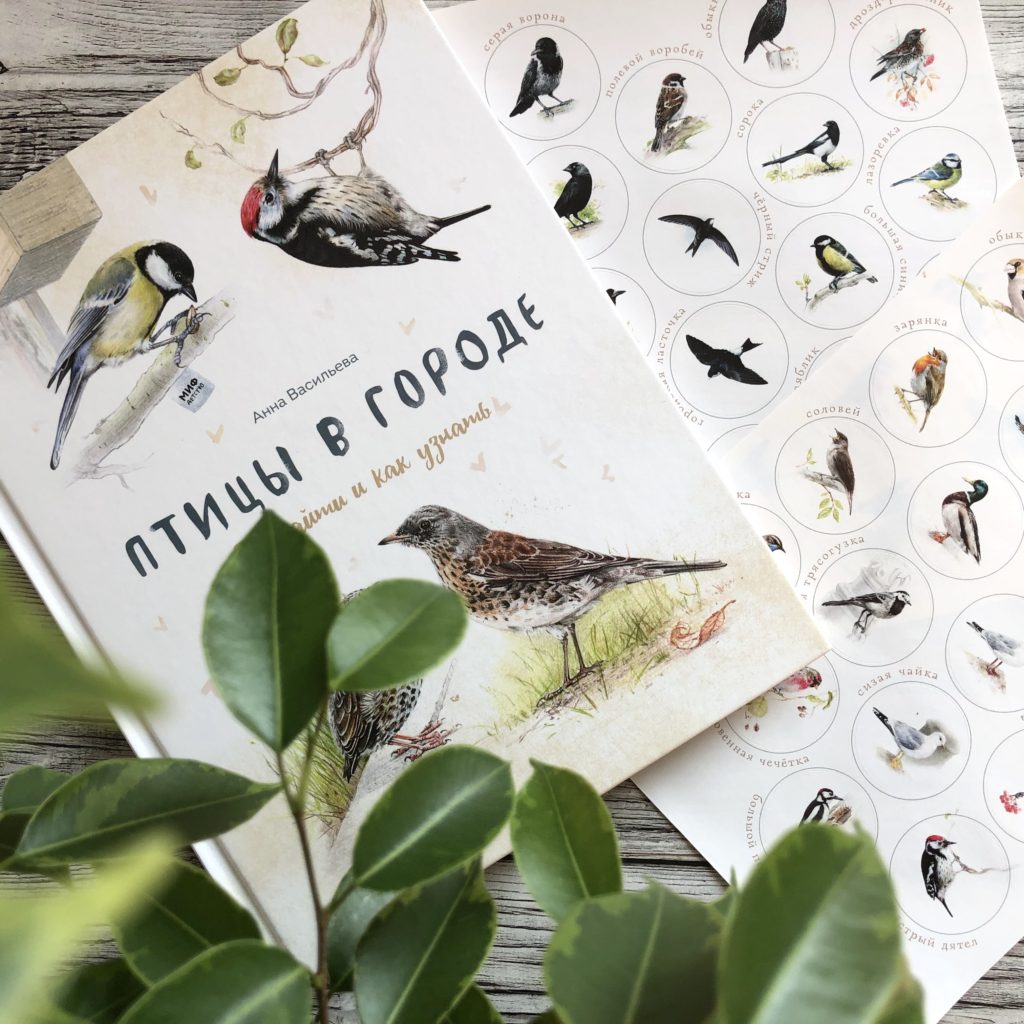 Очень красивая и полезная книга о птицах для детей - Птицы в городе 1